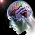 /album/fotogaleria/competencias-cognitivas-jpg1/